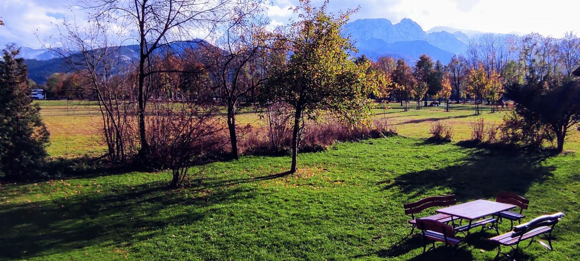 Hosana Zakopane Pokoje Goscinne I Apartamenty Екстер'єр фото